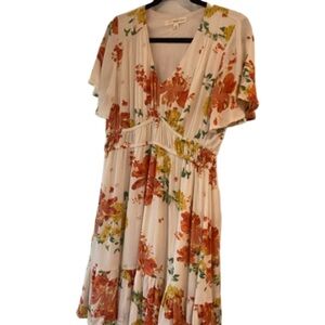 Size large women’s dress